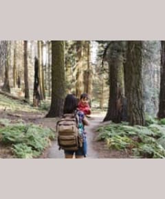 Adult and child hiking on forest trail