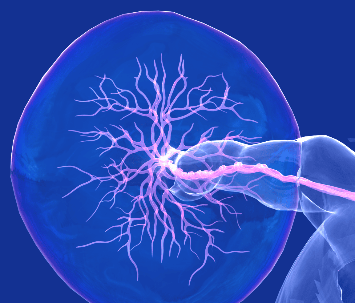 Neuron connecting to nerve cell illustration